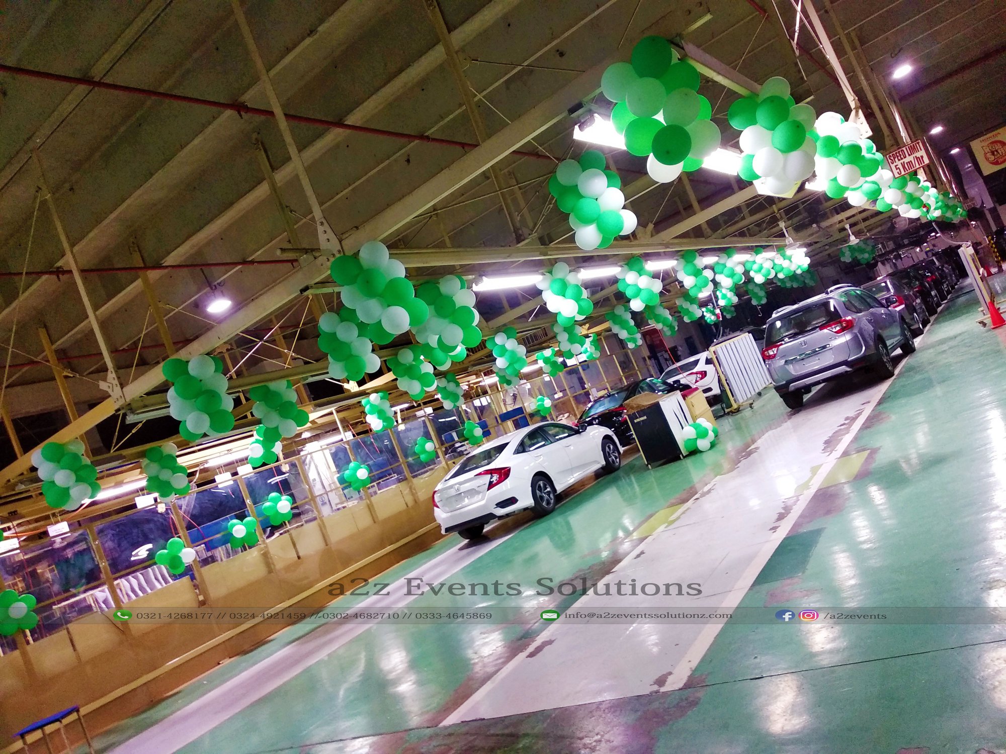 hanging garden, hall decor