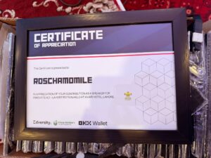 corporate-event-designers events planners, corporate event, award, performance certificate