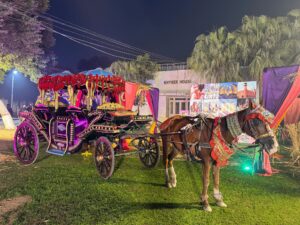 horse carriage, events services, corporate planners, outdoor event