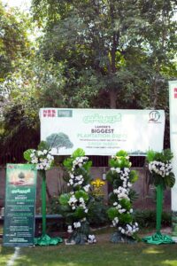 photo corner, floral decor, company event, events services
