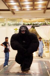 gorilla-entry entertainment, birthday bash, party planners, events service